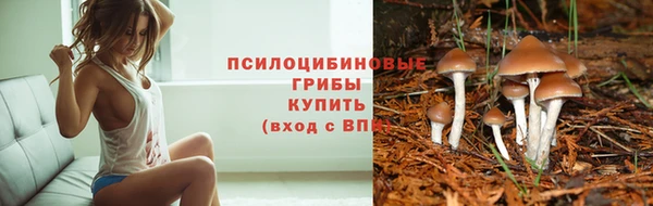 стафф Володарск