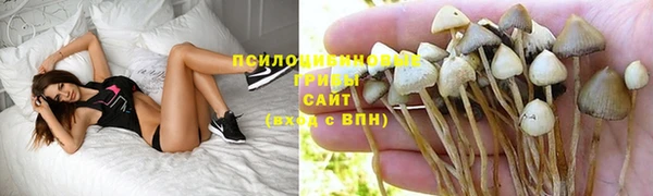 стафф Володарск