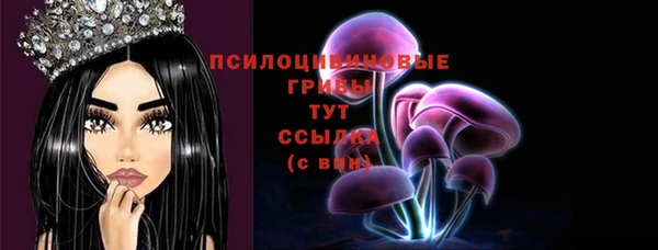 стафф Володарск