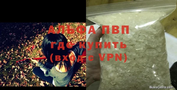 стафф Володарск